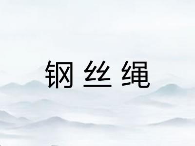 钢丝绳 钢丝绳