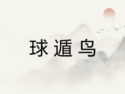 球遁鸟