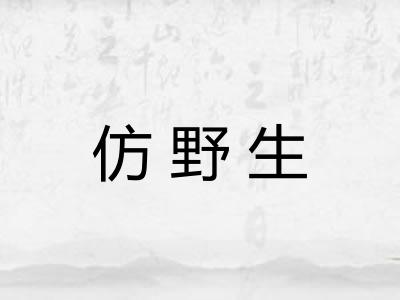 仿野生