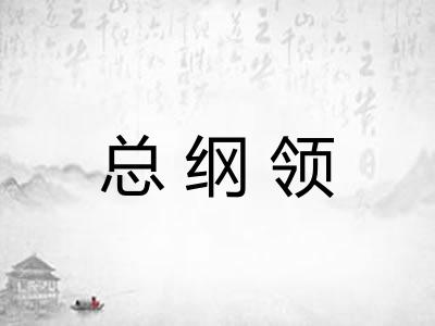 总纲领 总纲领