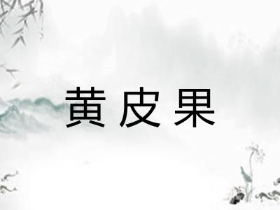 黄皮果 黄皮果