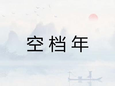 空档年