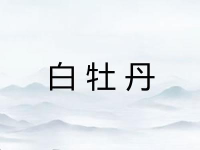 白牡丹