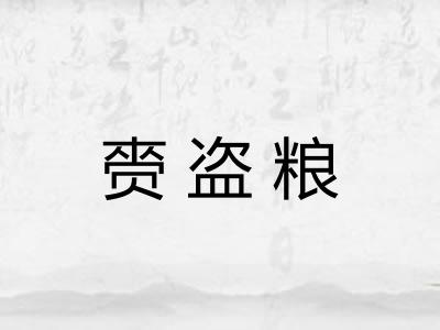 赍盗粮