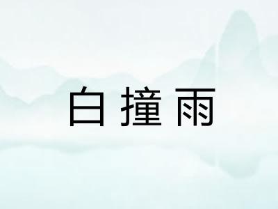 白撞雨