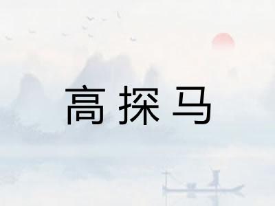 高探马 高探马