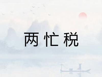 两忙税