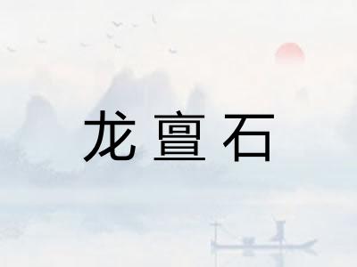 龙亶石 龙亶石