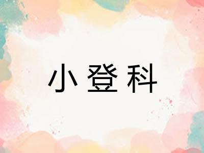 小登科
