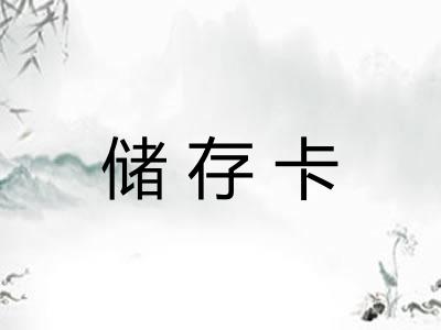 储存卡 储存卡