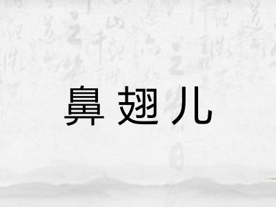 鼻翅儿 鼻翅儿