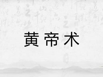 黄帝术 黄帝术