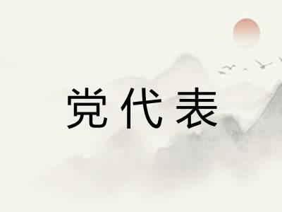党代表 党代表