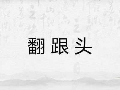 翻跟头 翻跟头