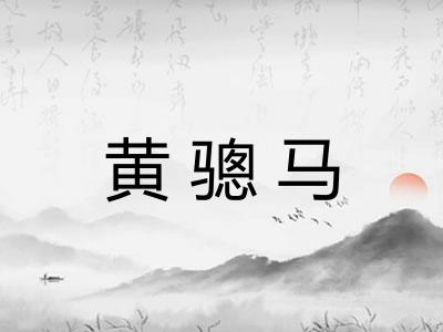 黄骢马 黄骢马