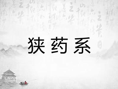 狭药系