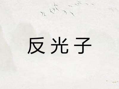 反光子 反光子