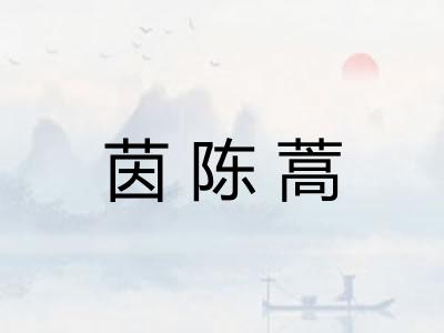 茵陈蒿