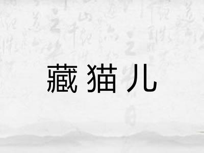 藏猫儿 藏猫儿