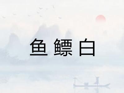 鱼鳔白