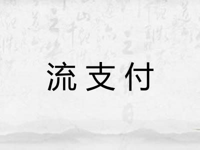 流支付 流支付