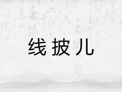 线披儿