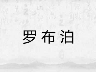 罗布泊 罗布泊