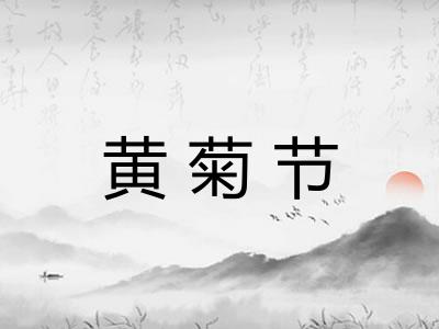 黄菊节