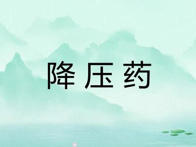 降压药 降压药