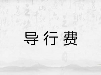 导行费