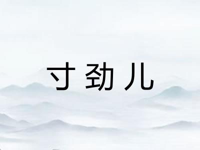 寸劲儿