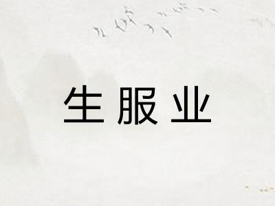 生服业