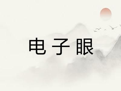 电子眼