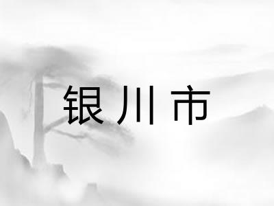 银川市 银川市