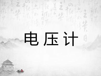 电压计 电压计