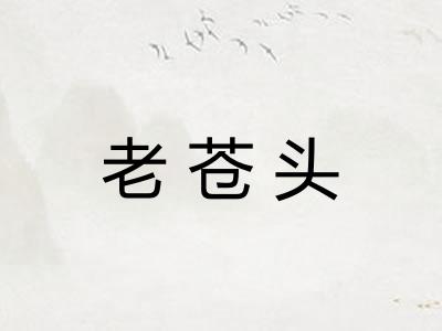 老苍头 老苍头