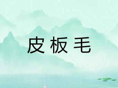 皮板毛