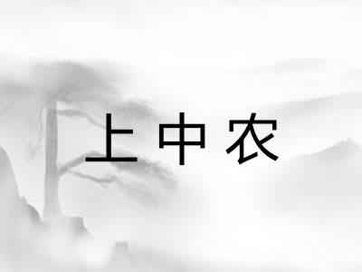 上中农 上中农
