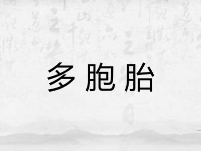 多胞胎