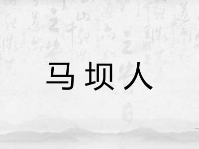 马坝人 马坝人