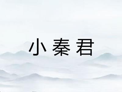 小秦君