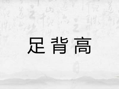 足背高 足背高