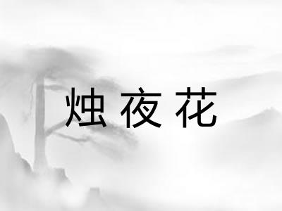 烛夜花 烛夜花