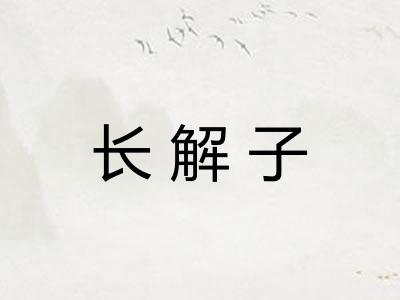 长解子