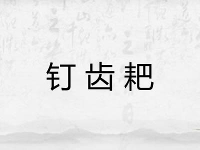 钉齿耙