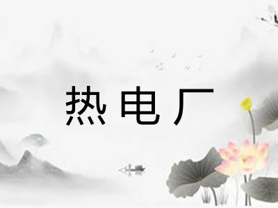 热电厂 热电厂