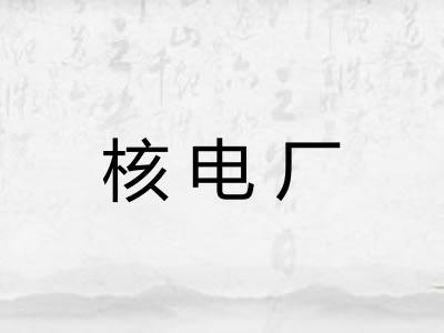 核电厂 核电厂
