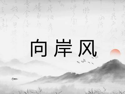 向岸风