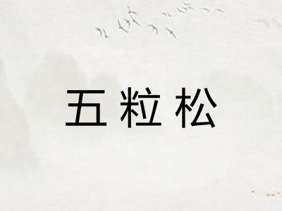 五粒松