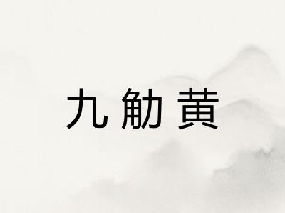 九觔黄 九觔黄